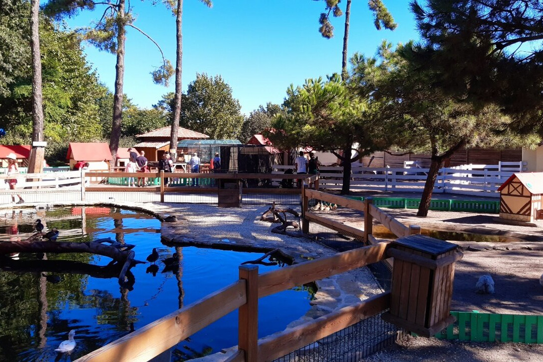 Parc de la Coccinelle景点图片