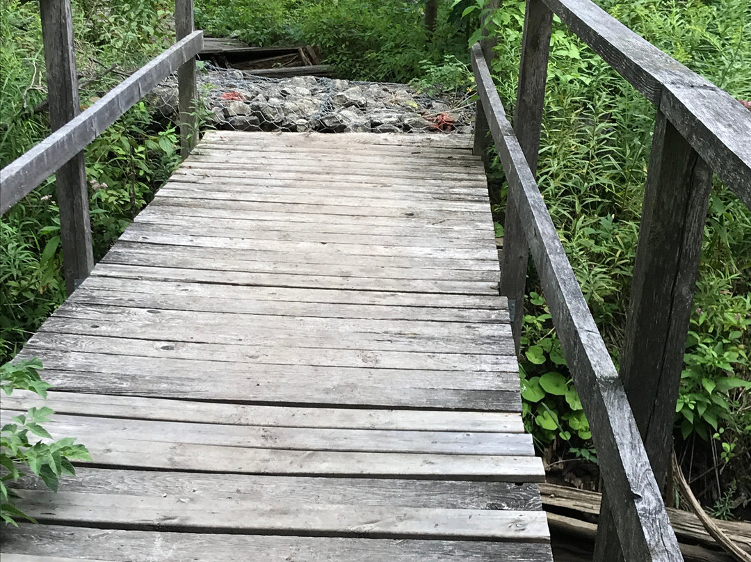 Bruce's Mill Conservation Park景点图片