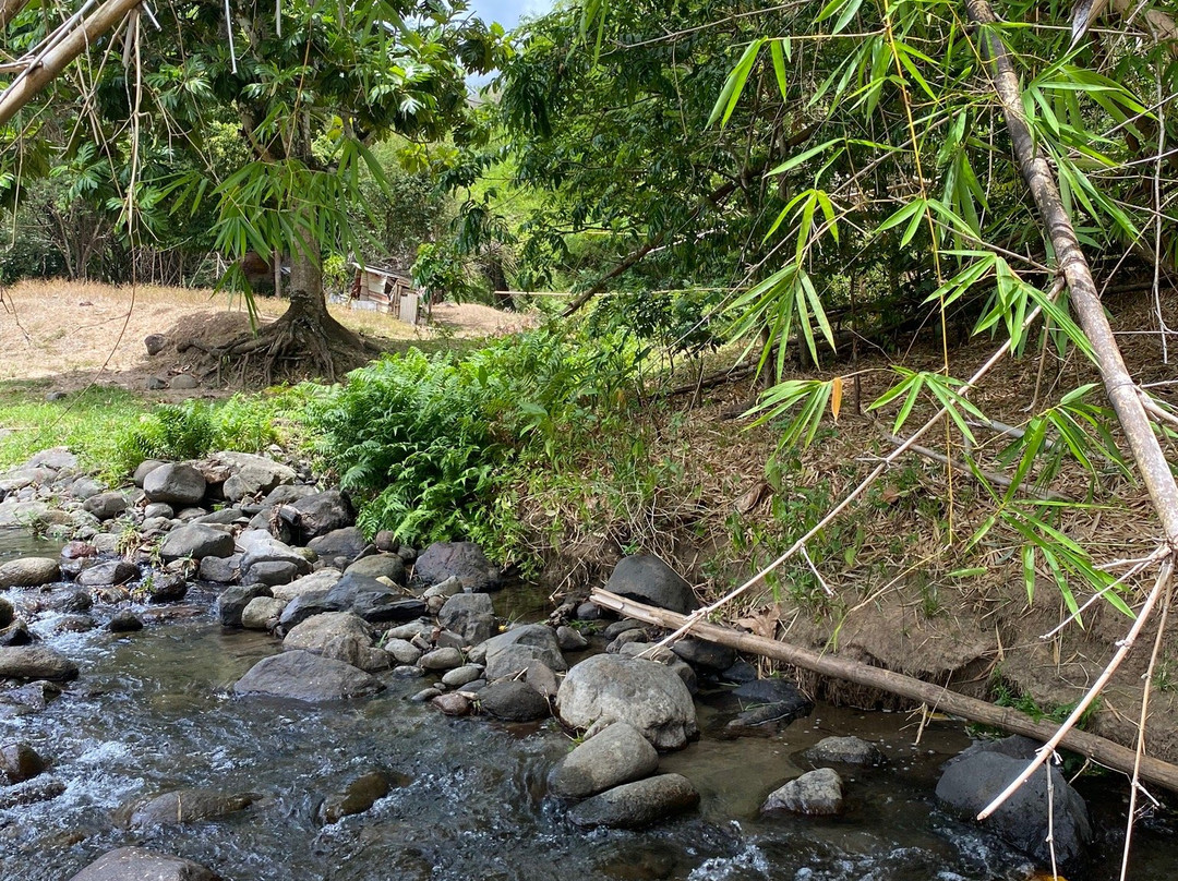 Cascade De La Riviere Carbet