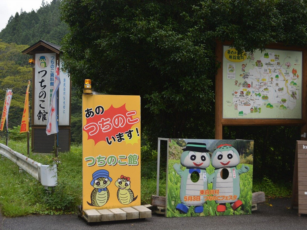 Tsuchinoko Hall-东白川村必去景点