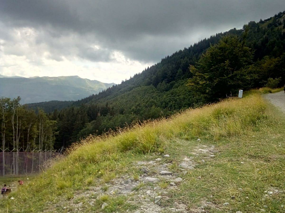 Adventure Park Cimone景点图片
