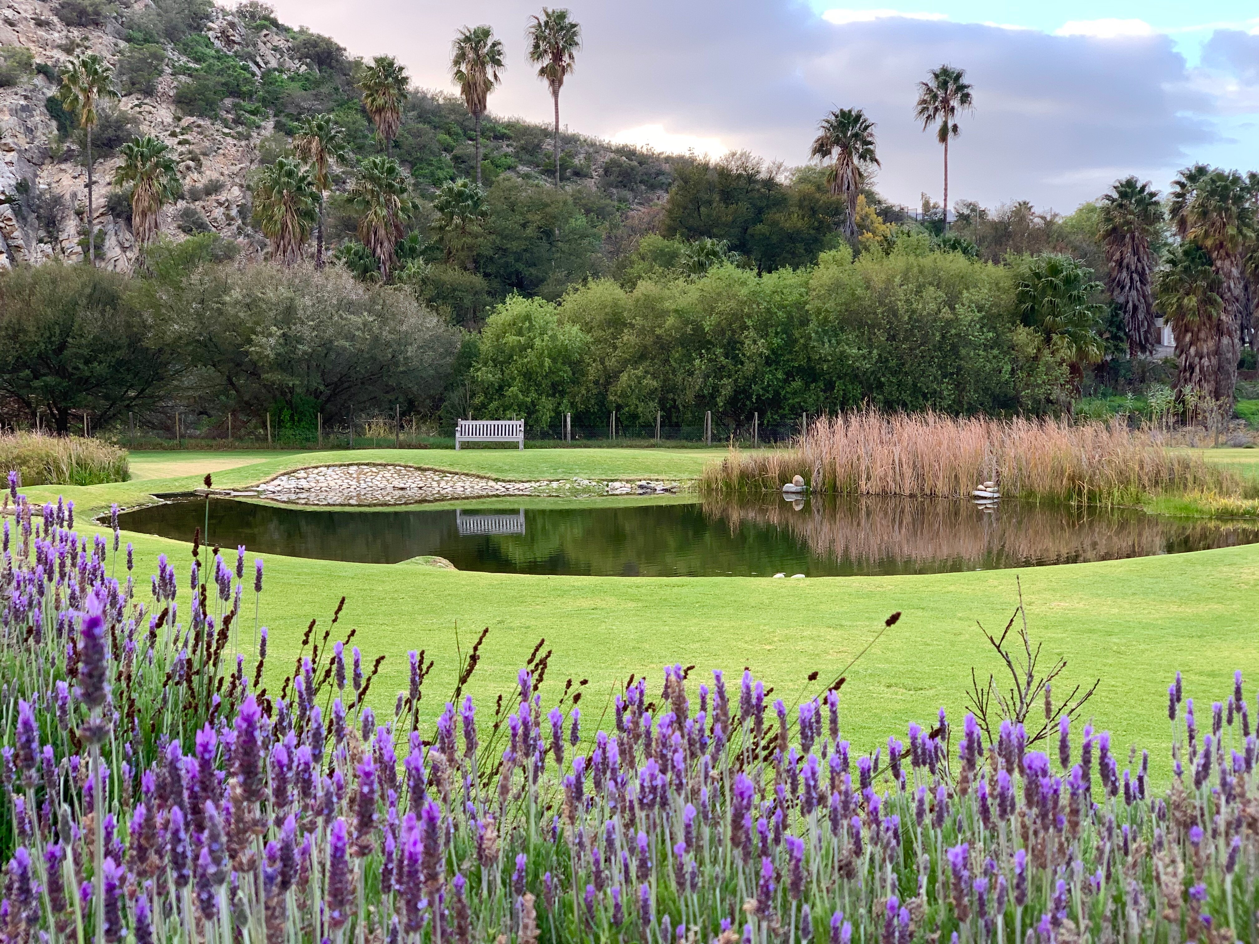 Montagu Vines Guesthouse-浴室