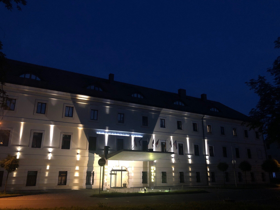 EA Hotel Tereziansky Dvur主图