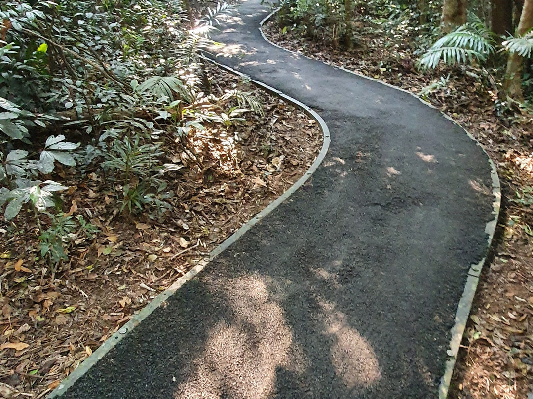McClellands Lookout