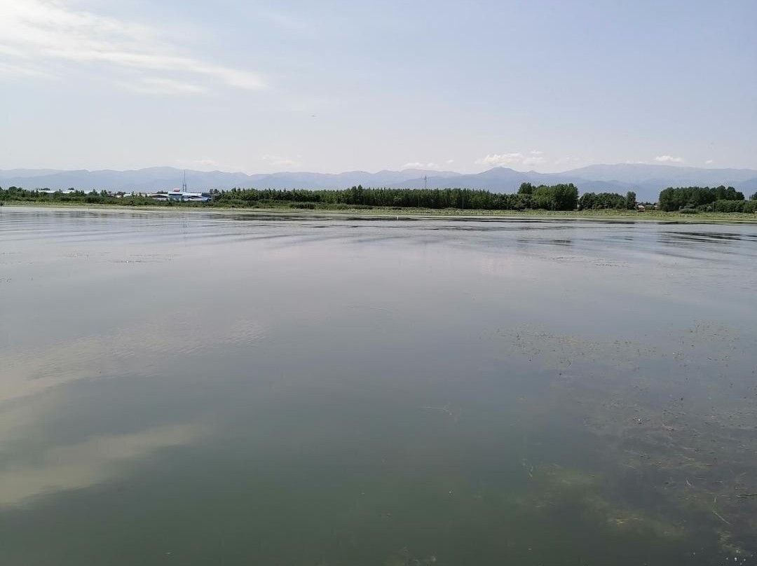 Abkenar Swamp景点图片