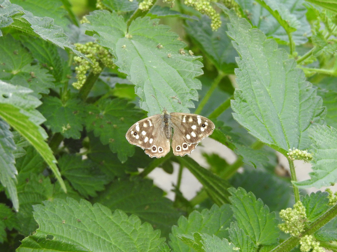 Fairfield Nature Reserve-兰开斯特必去景点