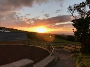 Patio Lodge-浴室