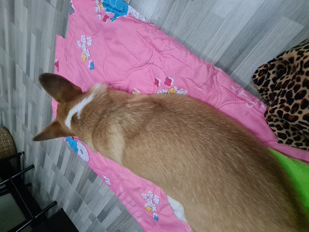 Kwai Noy River Park Resort主图