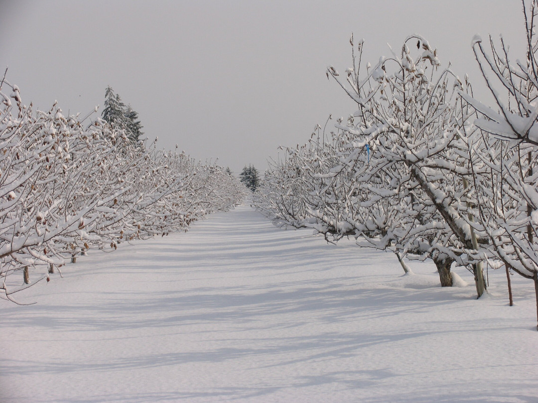 Applewood Farm景点图片