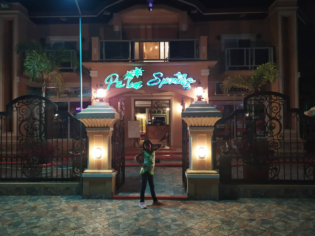 Palm Spring Hotel主图