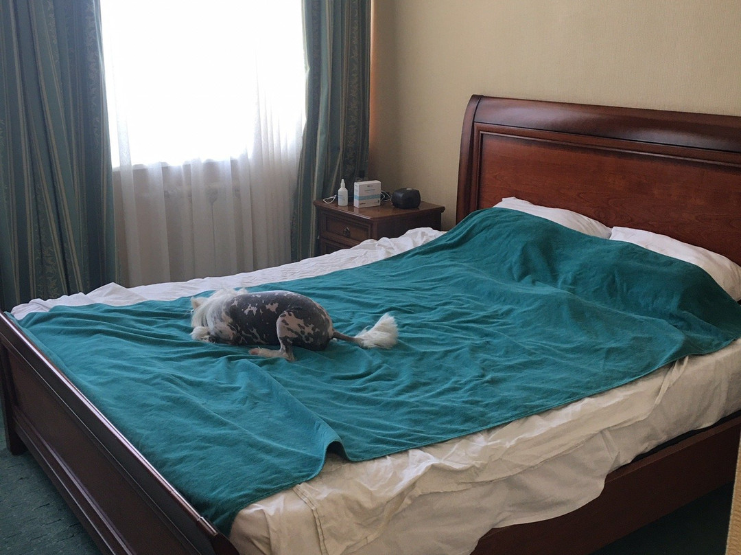 Golden Coast Hotel主图