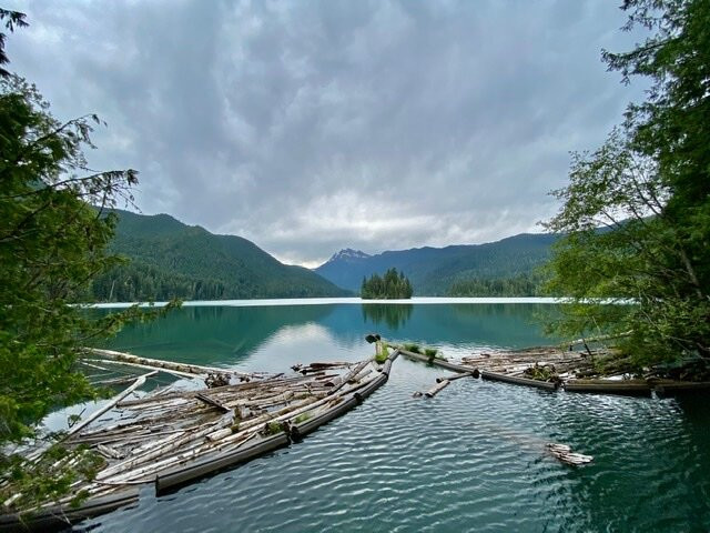 Packwood Lake Trail景点图片