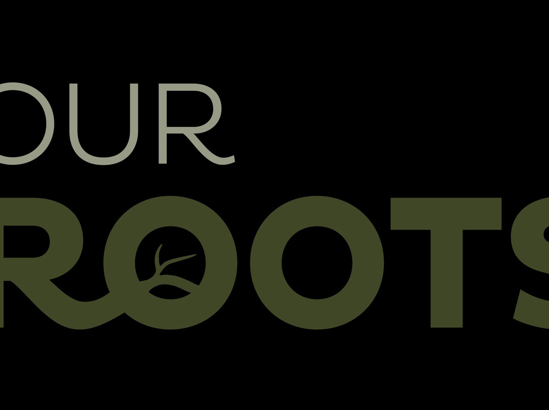 OurRoots-塞新布拉必去景点