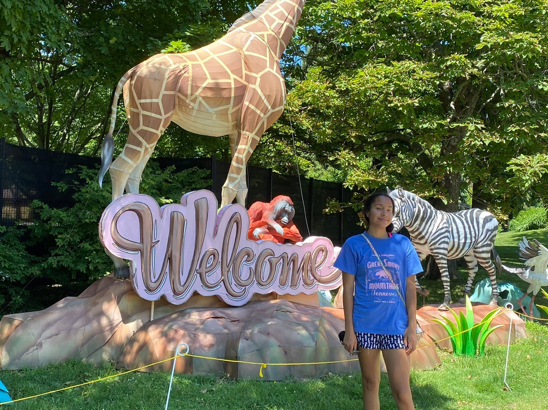 Racine Zoo-拉辛必去景点