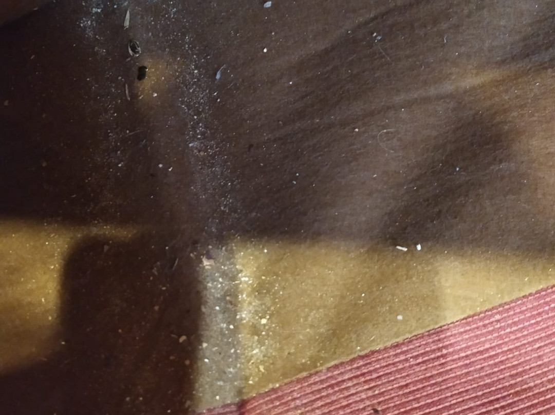 Casa Rural La Utrera主图