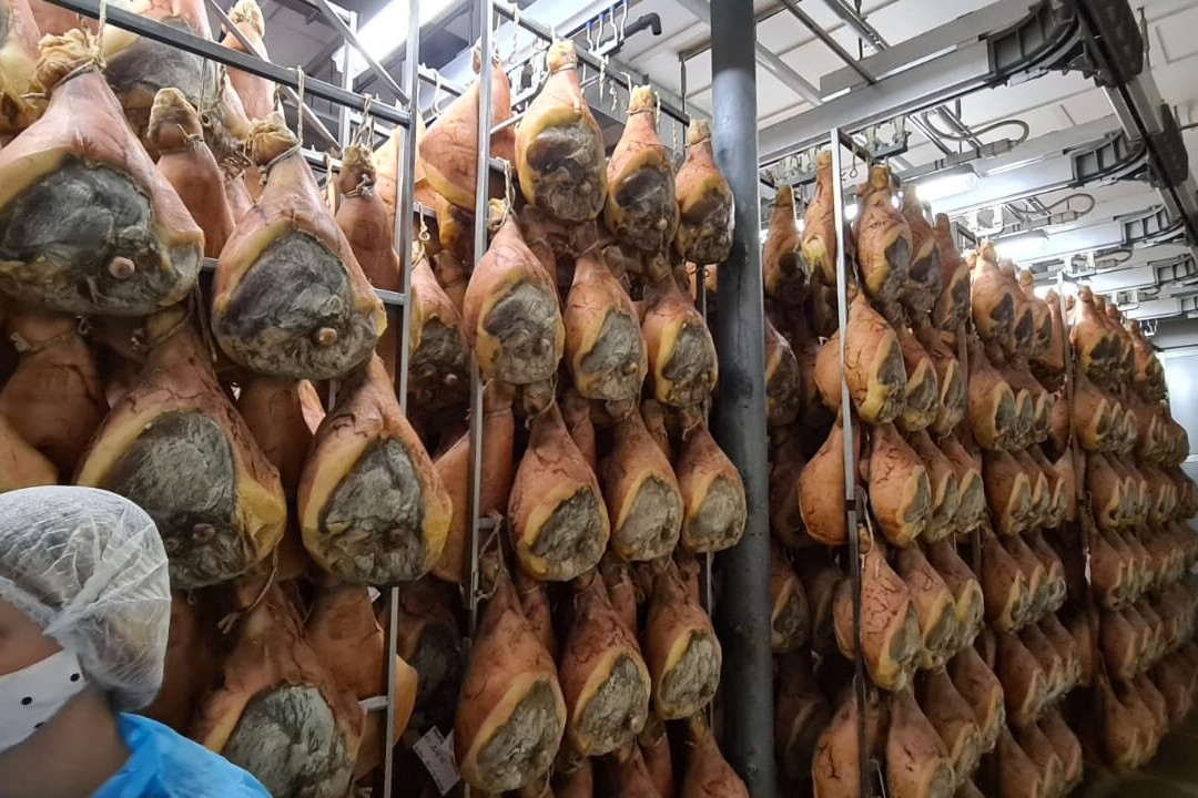 ParmaLook - Food Tour Experience-Ponte Taro必去景点