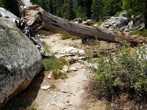 Indian Pools Trail-Lakeshore必去景点