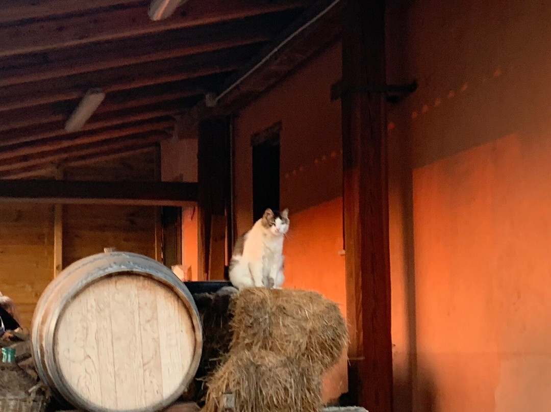 Cascina Sant'Eufemia主图