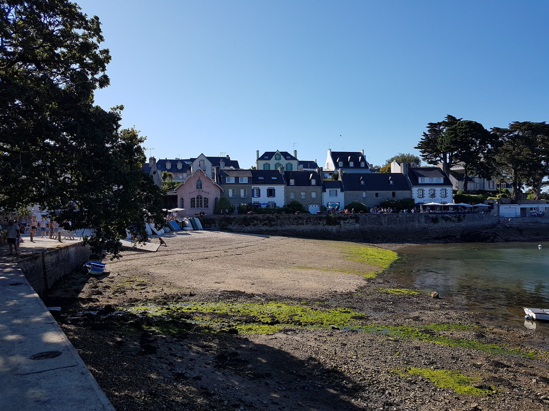 Port de plaisance景点图片