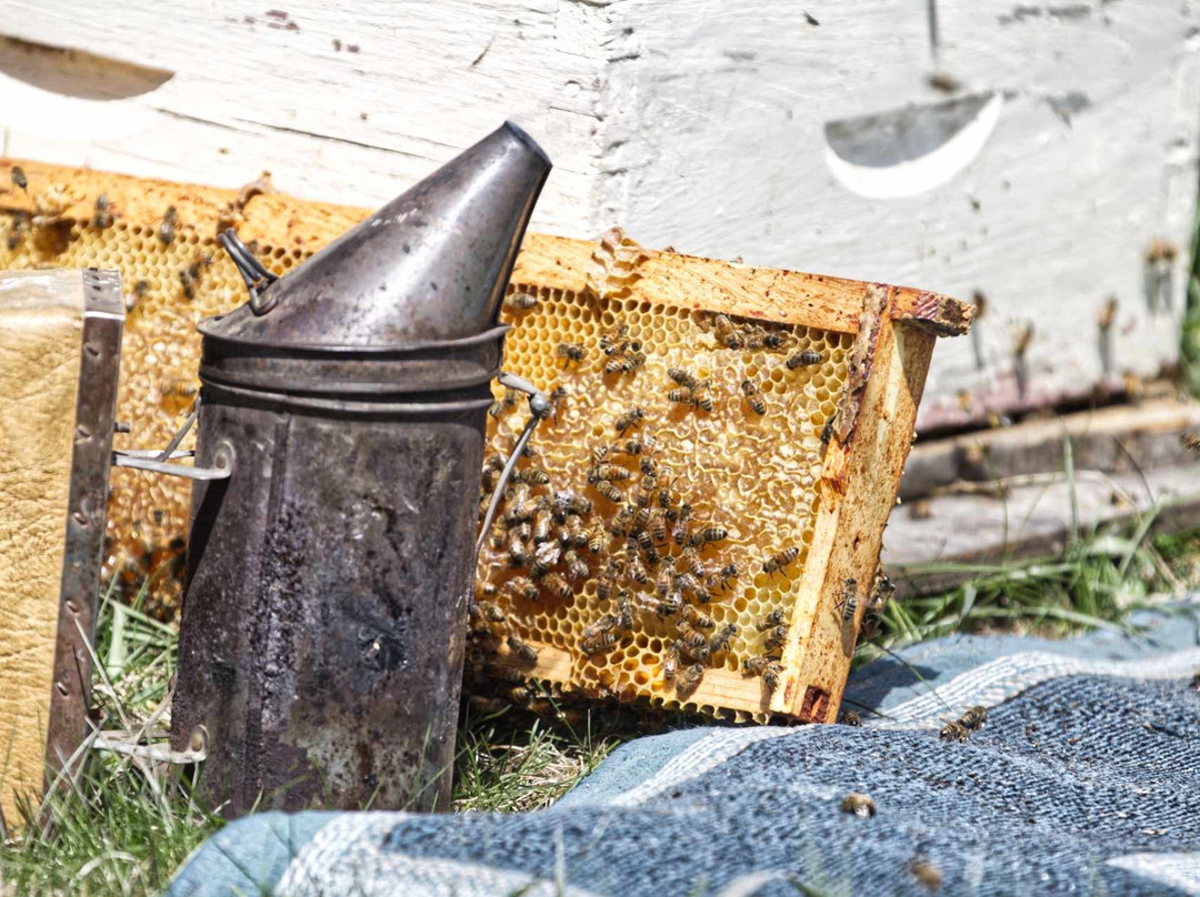 Bee Sweet Nature Co-Puslinch必去景点