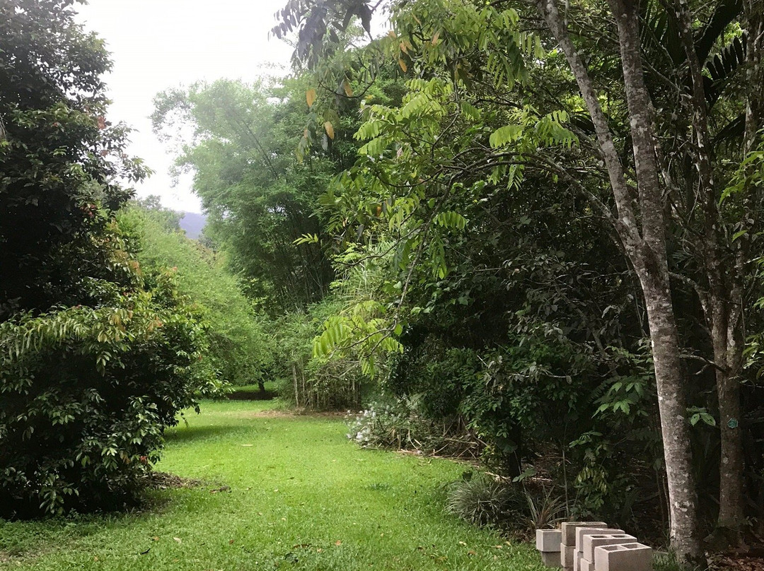 Shannonvale Tropical Fruit Winery-Mossman必去景点