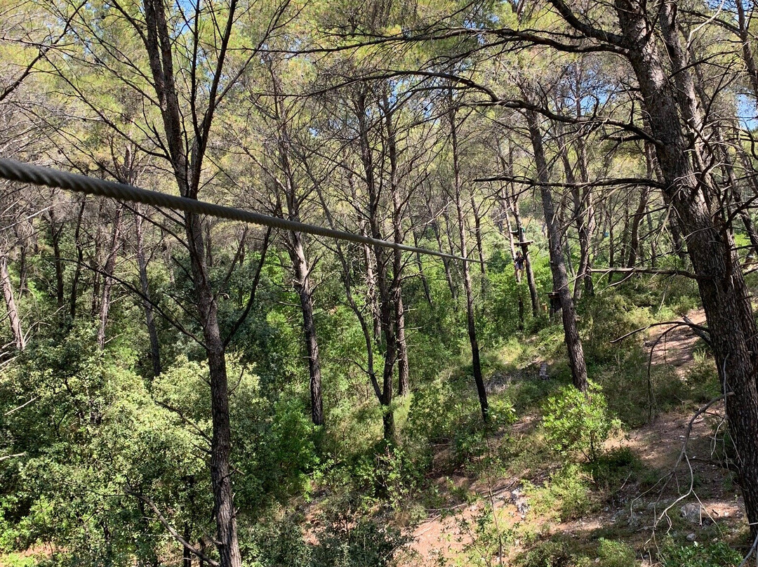 Le Royaume des Arbres-Le Castellet必去景点