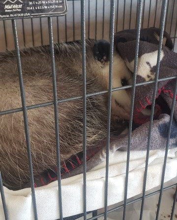 Eaton Hill Nature Center-Sonora必去景点