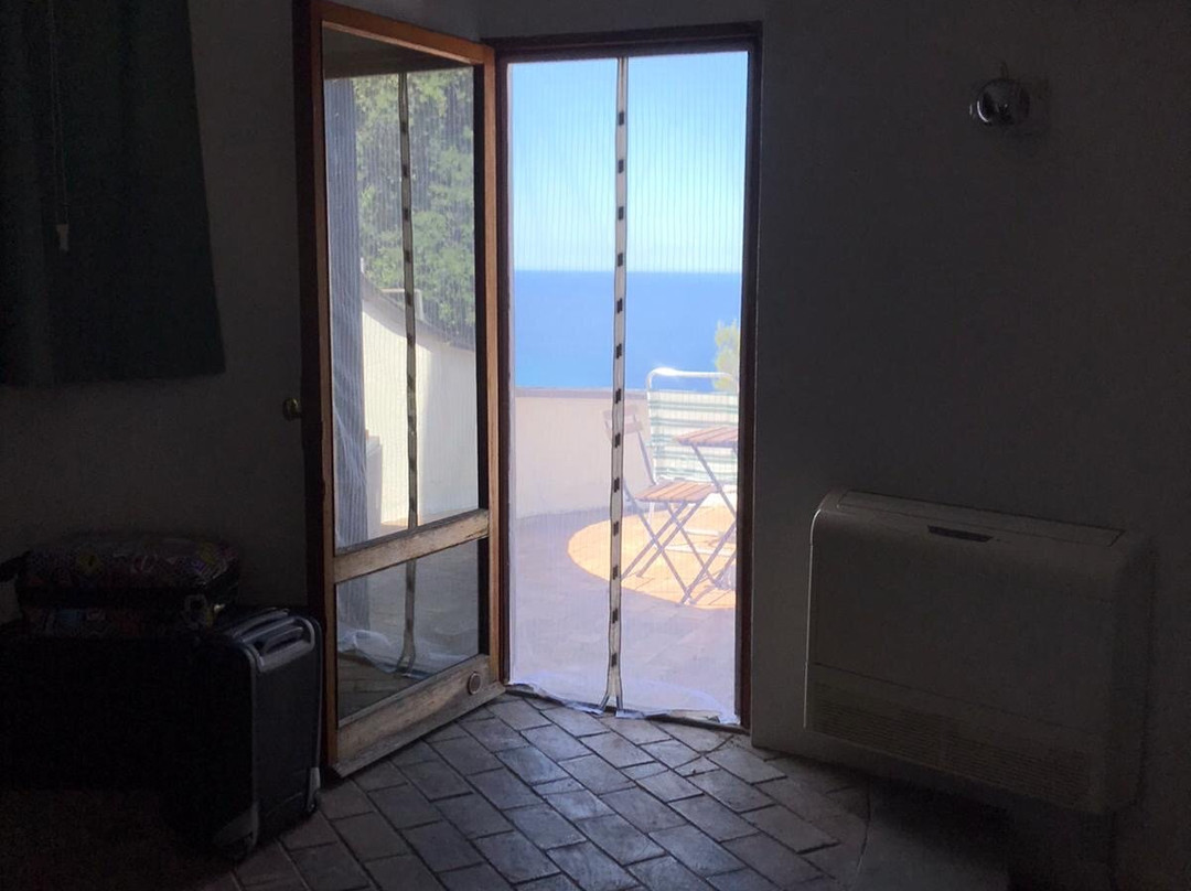 Cavalluccio Marino主图