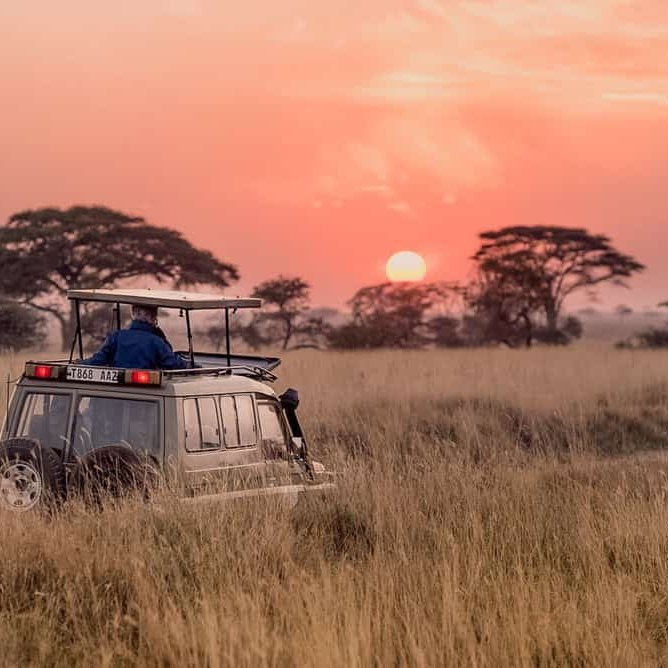 Mafia Beach Bungalows主图