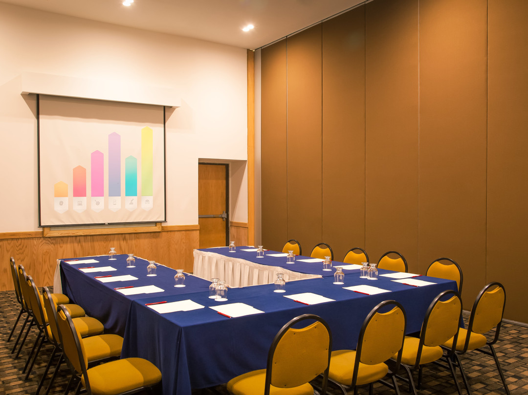 Fiesta Inn Culiacan主图