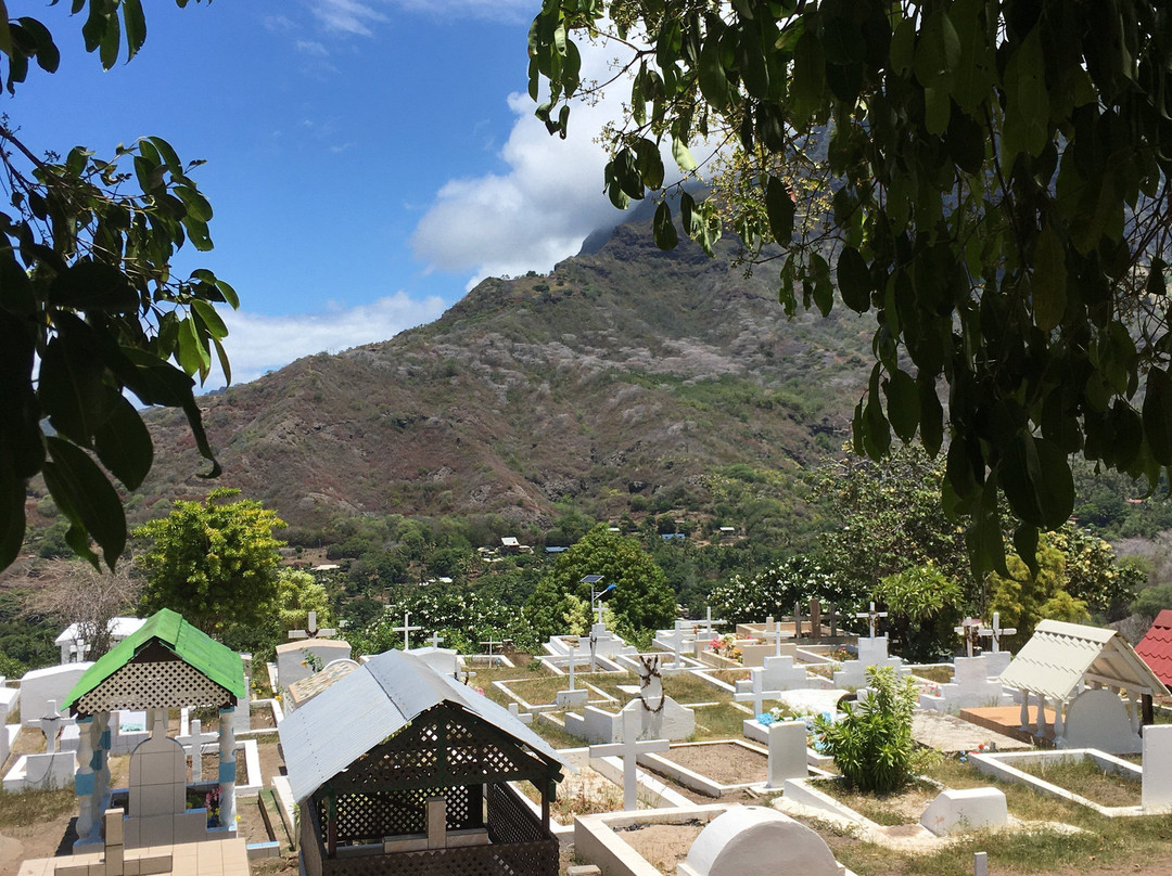 Calvary Cemetery景点图片