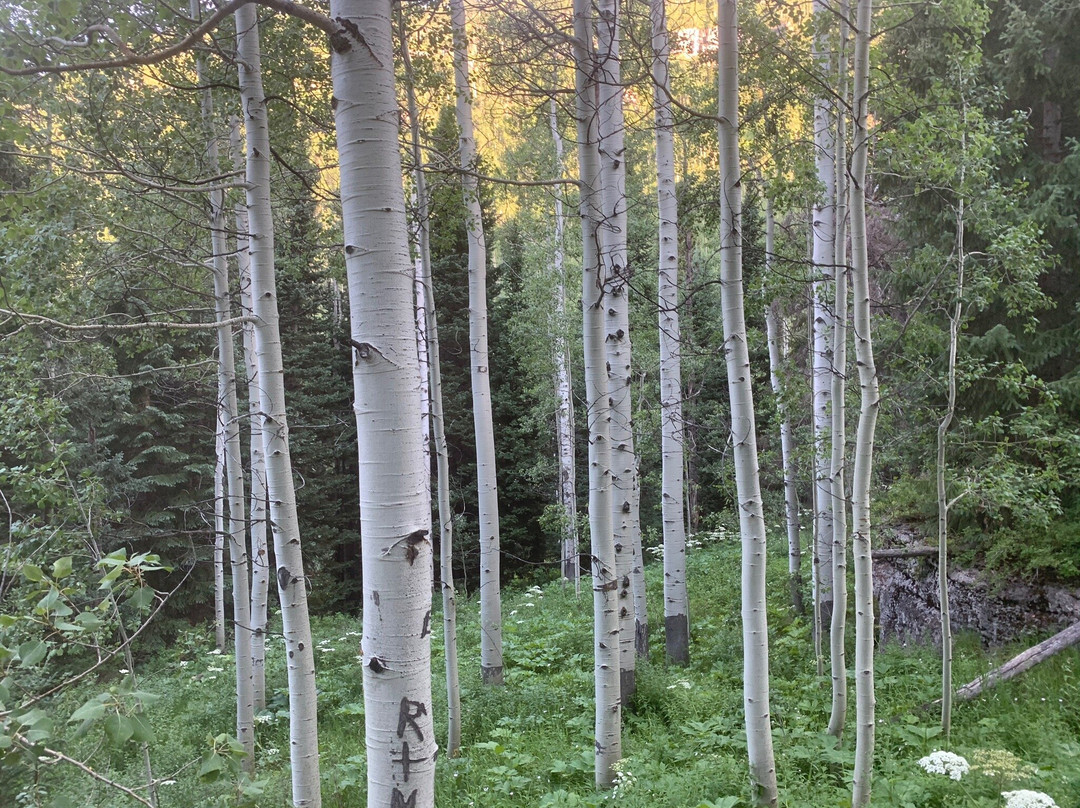 Booth Falls Trail-韦尔必去景点
