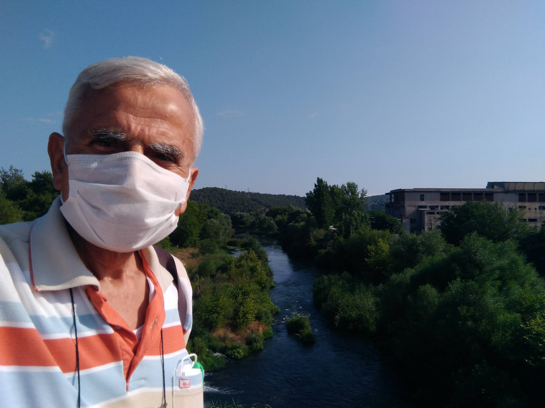 Asilhan Bey Köprüsü景点图片