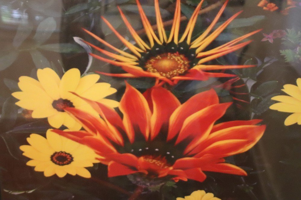 The Arts Colony-科罗纳必去景点