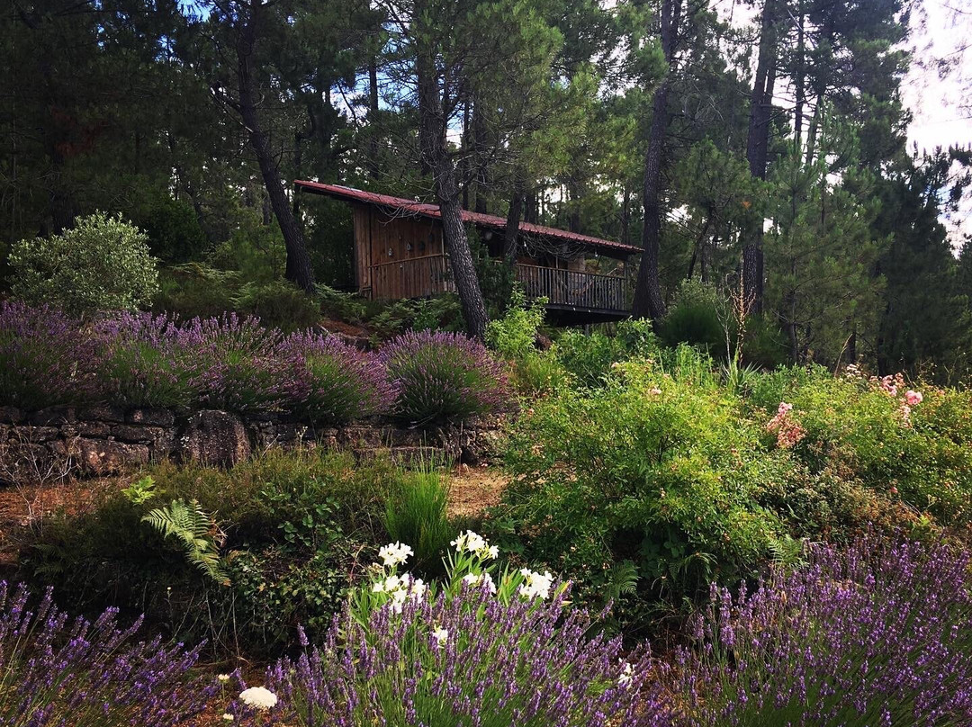 Auberge de la Tour de Brison主图