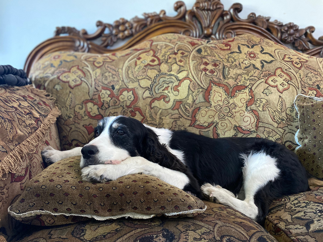 La Jungla Experience主图