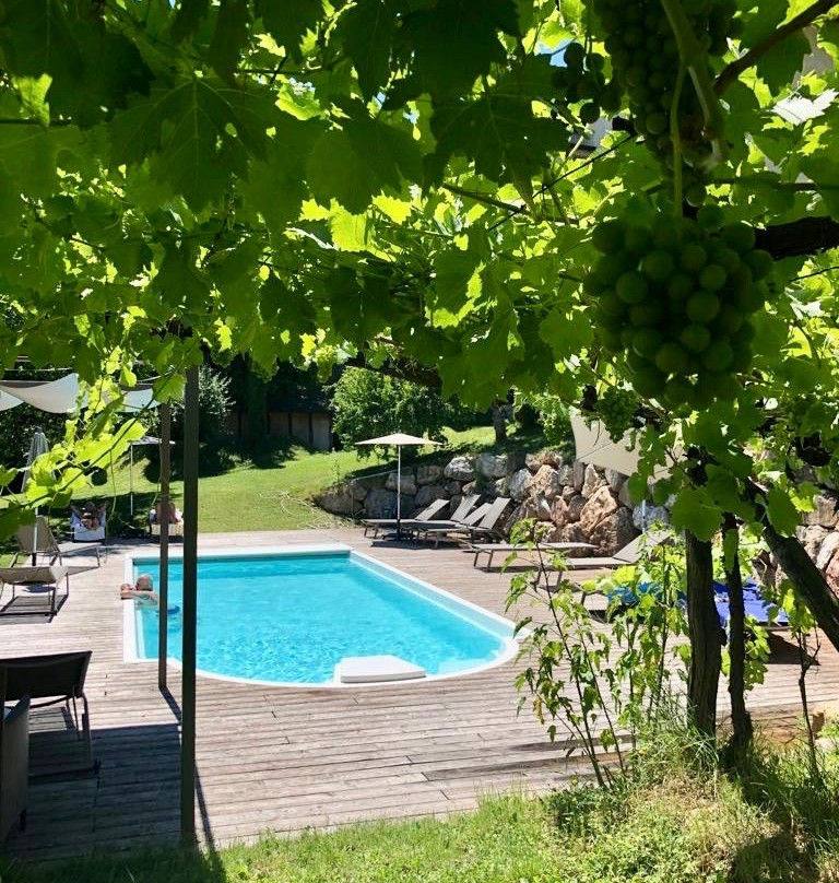 Hotel Goldene Traube主图