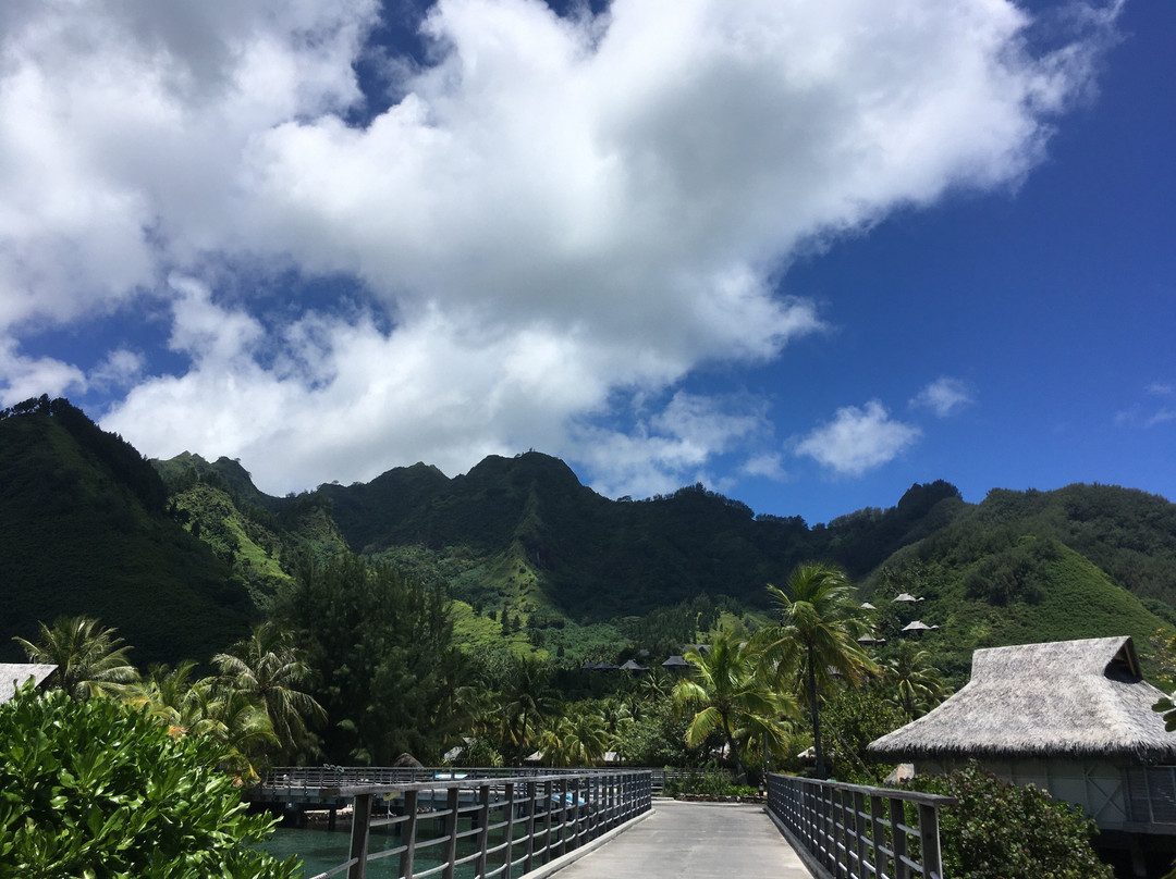 Moorea Dolphin Center-莫雷阿岛必去景点