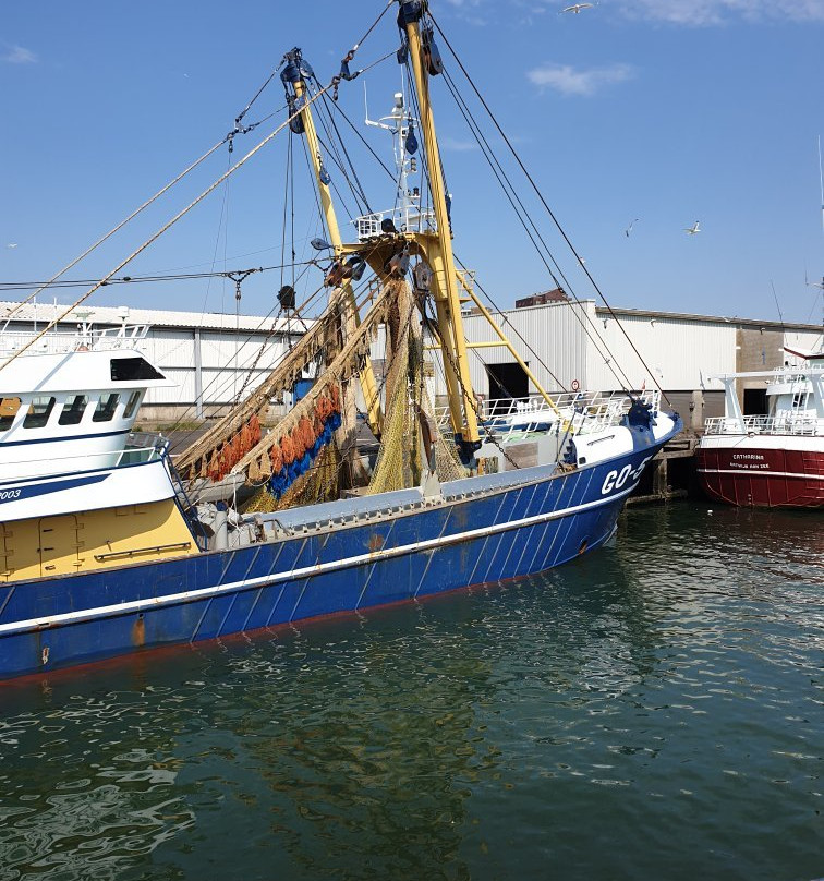IJmuidense Rondvaart Maatschappij - Boat Tours-Ijmuiden必去景点
