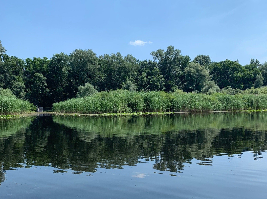 Special Nature Reserve Obedska Bara景点图片