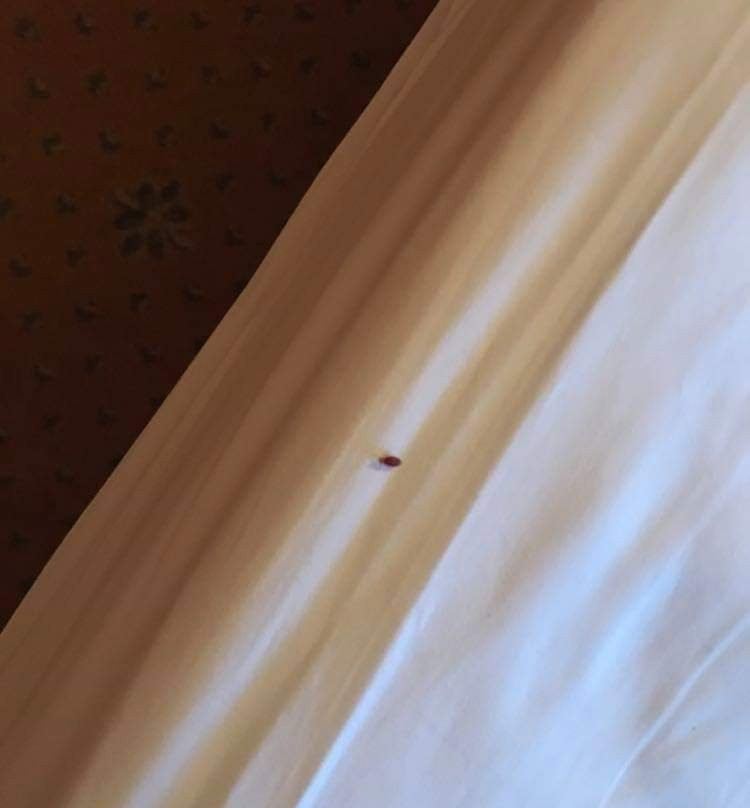 Hotel Le Marbore主图