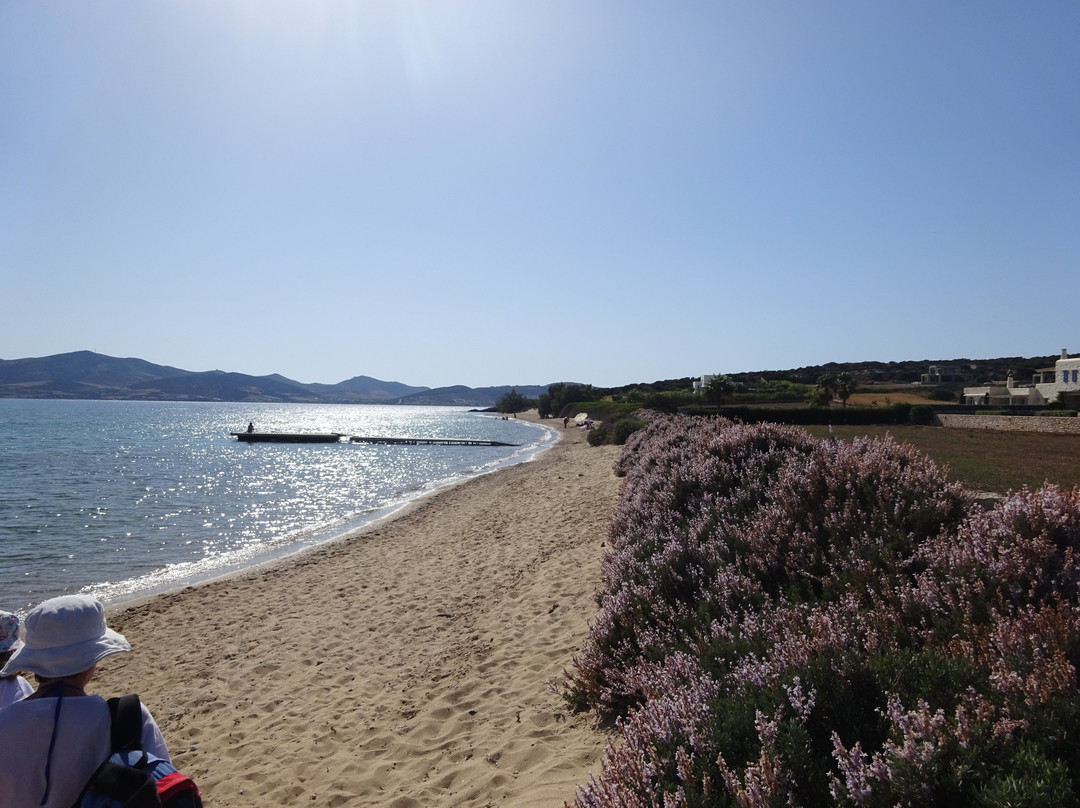 Voutakos Beach-帕罗斯岛必去景点