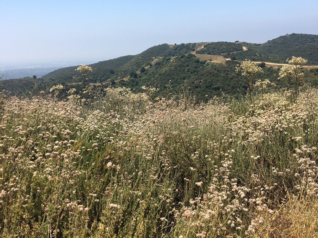 Claremont Hills Wilderness Park景点图片