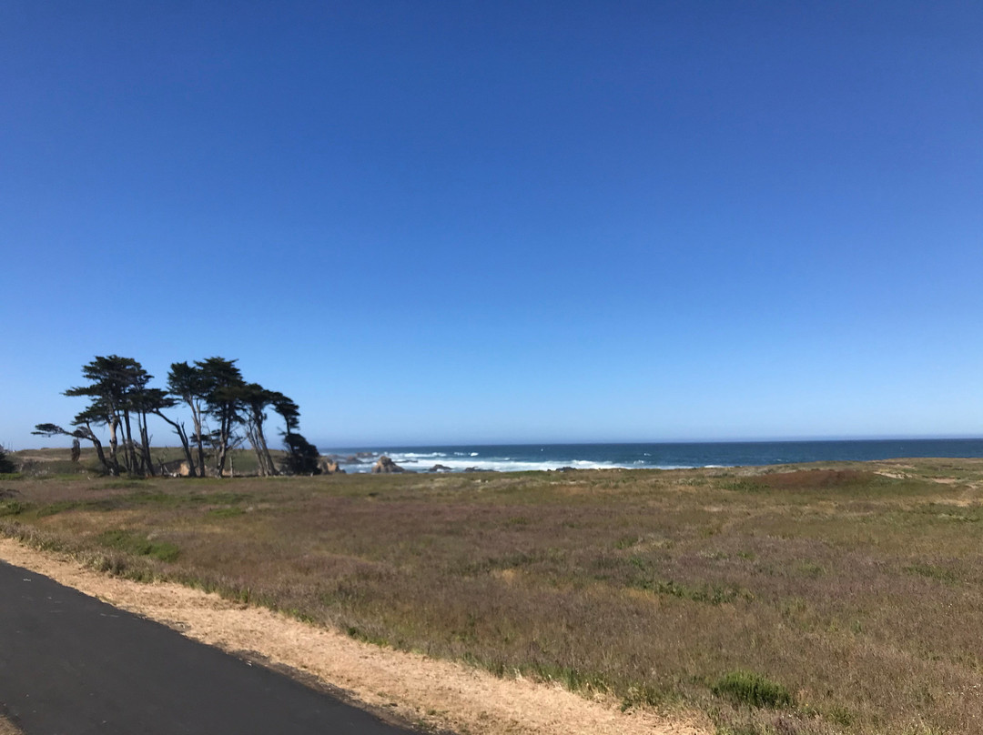 Surf & Sand Lodge主图