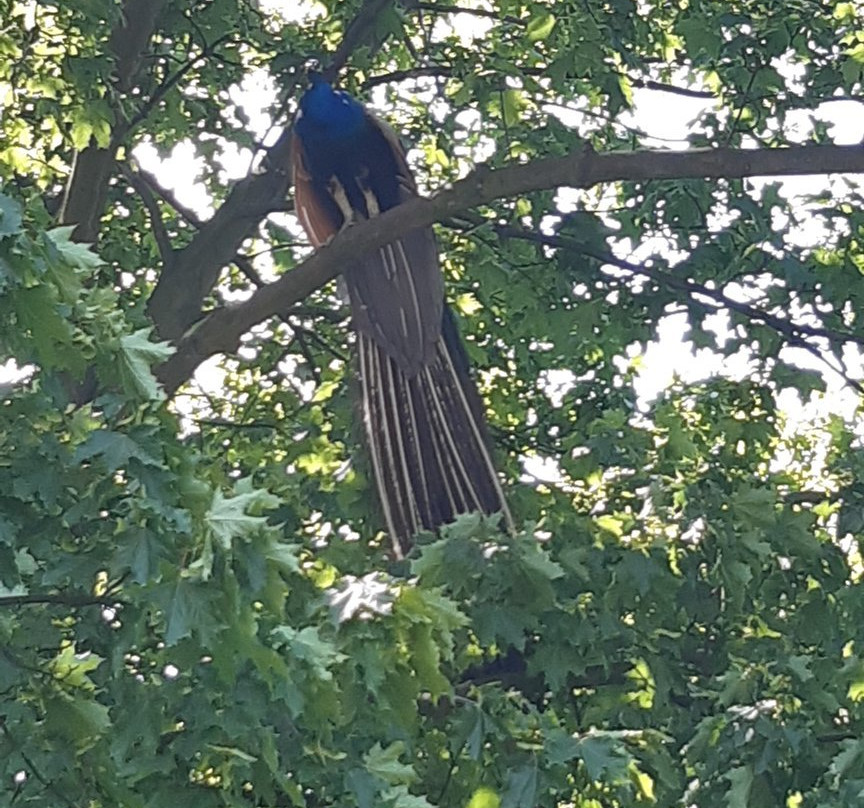 Silesian Zoological Garden-Chorzow必去景点