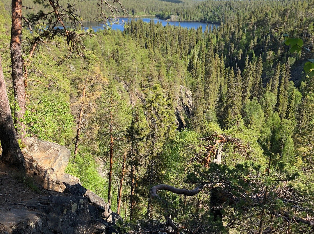 Kanjonin Kurkkaus Trail-库萨莫必去景点