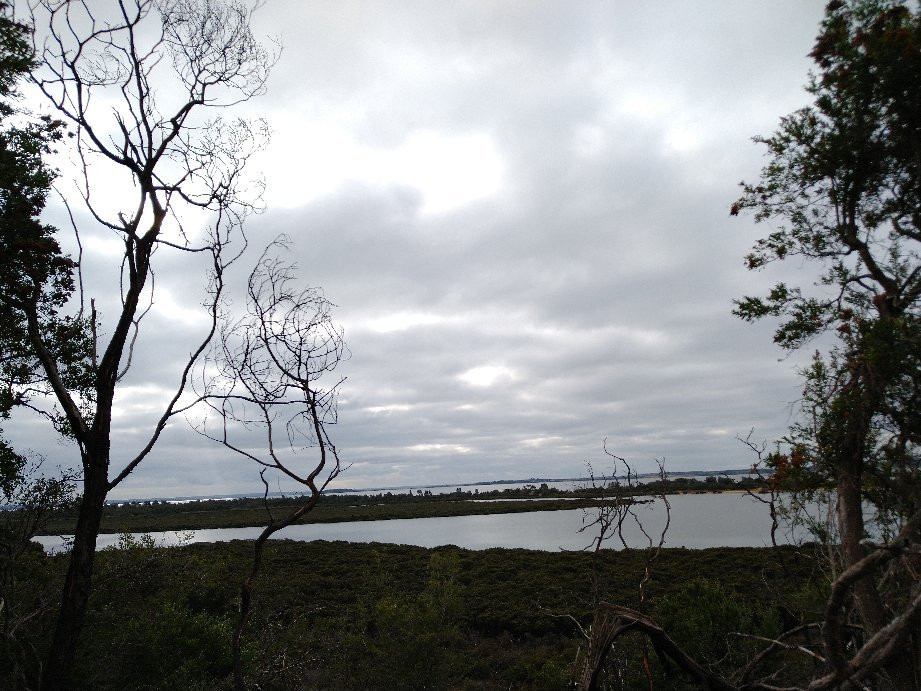 Rhyll Inlet State Wildlife Reserve景点图片