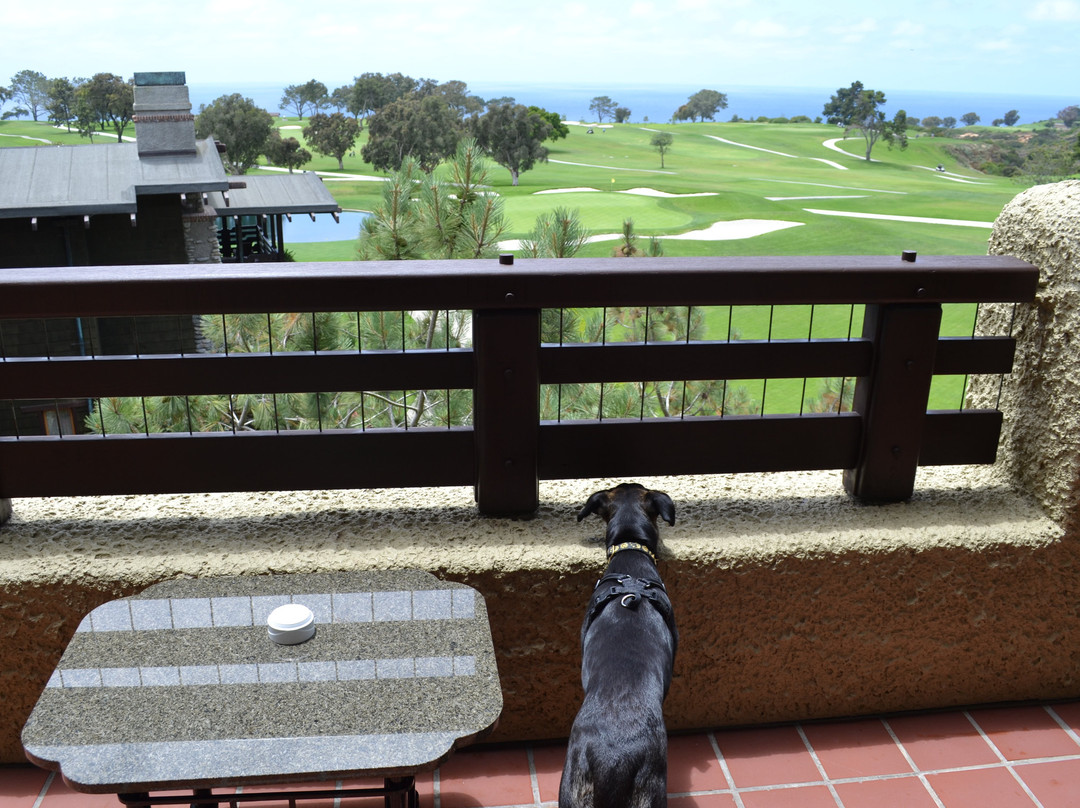 托利潘度假酒店主图