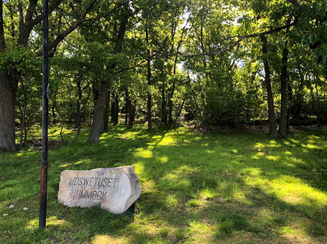 The Moswetuset Hummock-昆西必去景点