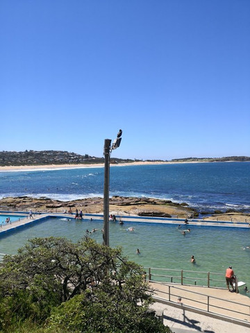 Dee Why Rockpool-德威必去景点